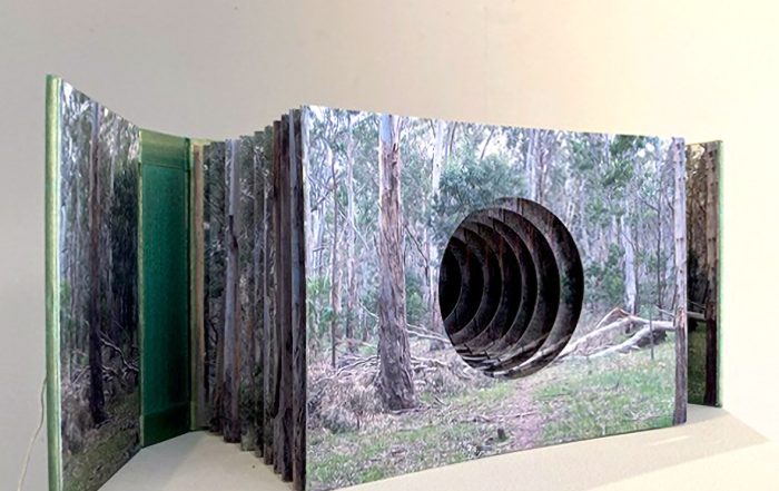 Lesley DUXBURY 'A Walk in the Redeem Forest', artist tunnel book, inkjet prints, silk, twine and brass, 15.5 x 40 x 16 cm